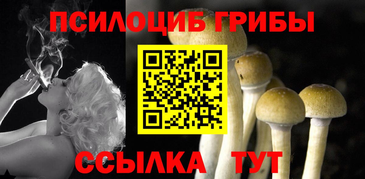 Лосино-Петровский  Псилоцибиновые грибы Cubensis  Галлюциногенные грибы Cubensis  Вход с VPN 